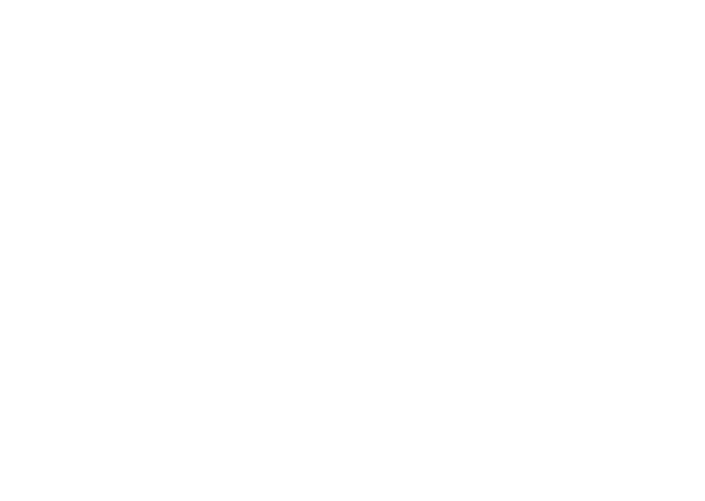 The Archi Mates